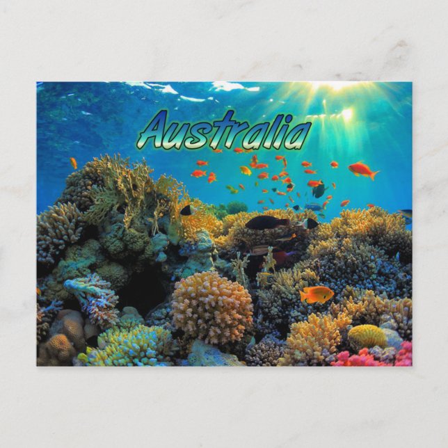 Australia Great Barrier Reef stylized Postcard (Front)