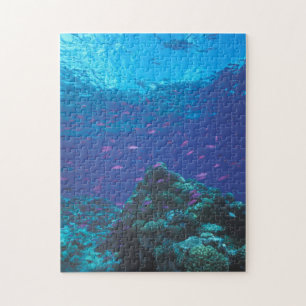 Australia, Great Barrier Reef. Swarming Purple Jigsaw Puzzle