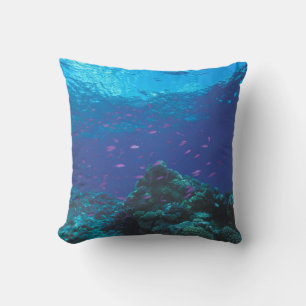 Australia, Great Barrier Reef. Swarming Purple Throw Pillow