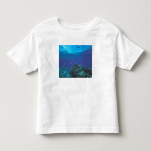 Australia, Great Barrier Reef. Swarming Purple Toddler T-shirt
