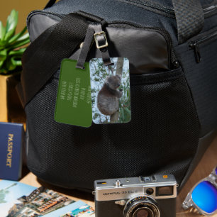 Australia Kangaroo Island Cute Koala in a Tree Luggage Tag