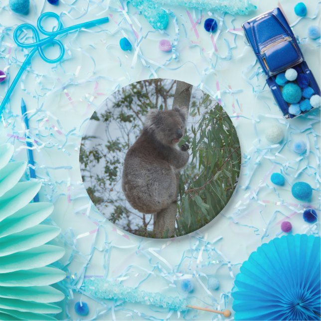 Australia Kangaroo Island Cute Koala in a Tree Paper Plate (Party)
