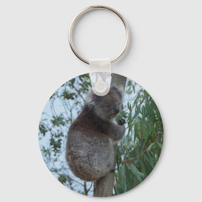 Australia Kangaroo Island Koala in a Tree Keychain (Front)