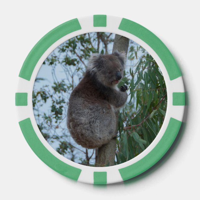 Australia Kangaroo Island Koala in a Tree Poker Chips (Front)