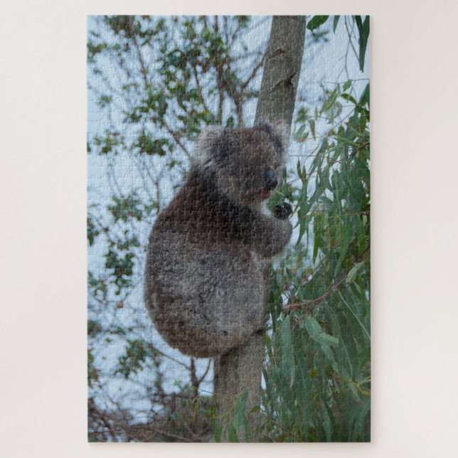 Australia Kangaroo Island Koala Tree, 1014 pieces Jigsaw Puzzle (Vertical)