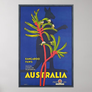 Australia Kangaroo Paws Vintage Travel Poster