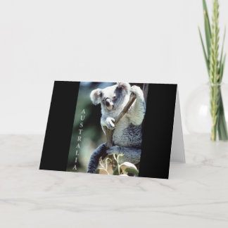 Australia Koala Bear Card
