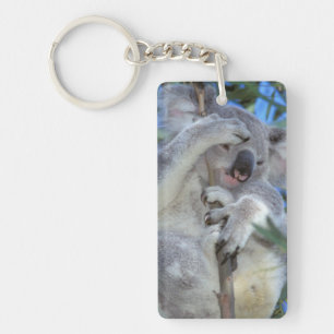Australia, Koala Phasclarctos Cinereus) Keychain