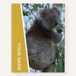 Australia Koala Portrait Photo, Gold Notebook