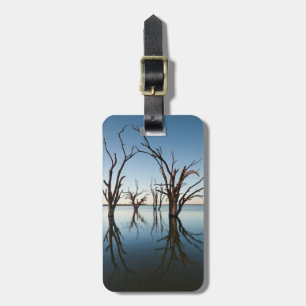 Australia, Murray River Valley, Barmera, Lake Luggage Tag