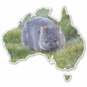 Australia Outline Shape Cute Wombat Tasmania