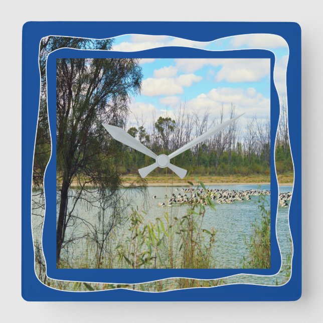 Australia Pelican Flock River Murray, Square Wall Clock (Front)