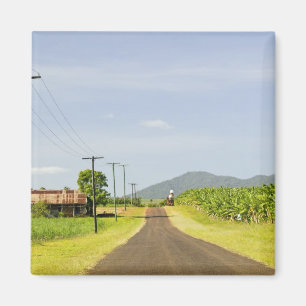 Australia, Queensland, North Coast, Babinda. Magnet