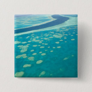 Australia, Queensland, Whitsunday Coast, Great 4 2 Inch Square Button