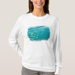 Australia, Queensland, Whitsunday Coast, Great 4 T-Shirt