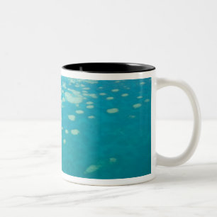 Australia, Queensland, Whitsunday Coast, Great 4 Two-Tone Coffee Mug