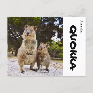 Australia Quokka Postcard