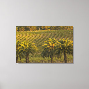 Australia, South Australia, Barossa Valley, Canvas Print
