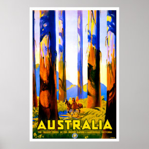 Australia, tall trees of Marysville, Victoria Poster