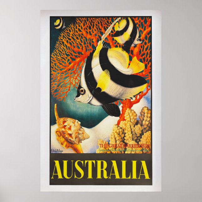 Australia, the Great Barrier Reef by Eileen Mayo Poster (Front)