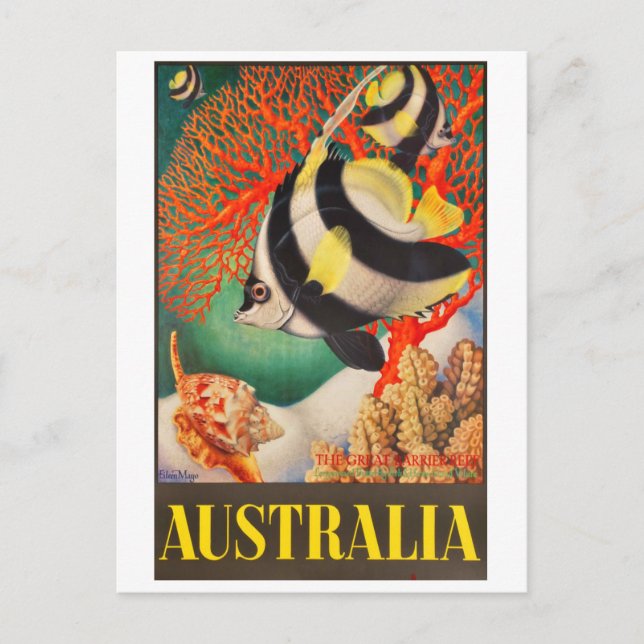 Australia, Tropic Fish at the Great Barrier Reef Postcard (Front)