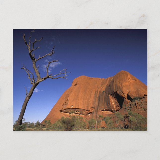 Australia, Uluru Kata Tjuta National Park, Uluru Postcard (Front)