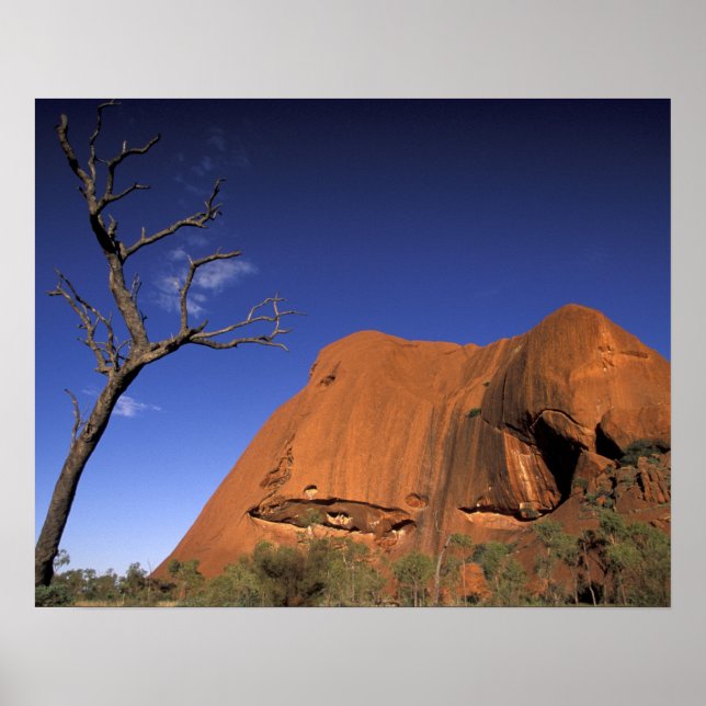 Australia, Uluru Kata Tjuta National Park, Uluru Poster (Front)