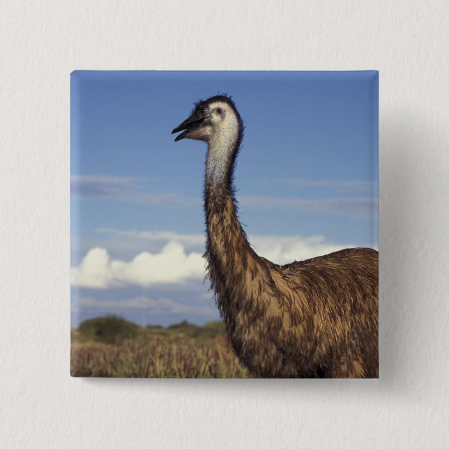 Australia, Western Australia. Emu (Dromaius 2 Inch Square Button (Front)