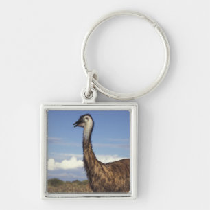 Australia, Western Australia. Emu (Dromaius Keychain