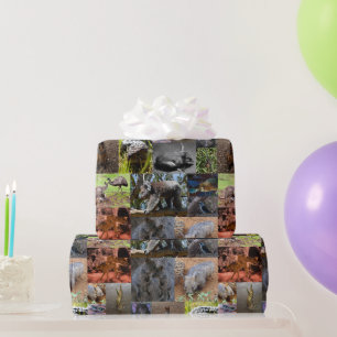 Australian Animals Photo Collage, Gift Wrap Paper