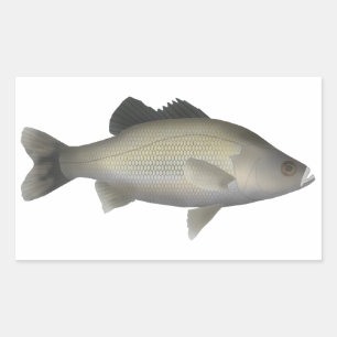 Australian Bass Sticker