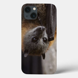 Australian Bat iPhone 13 Case