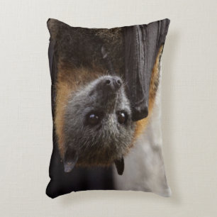 Australian Bat Decorative Pillow