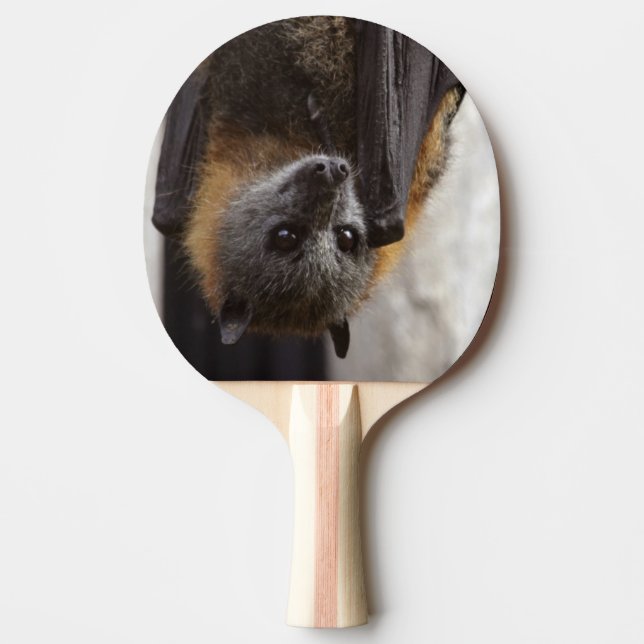 Australian Bat Ping Pong Paddle (Front)