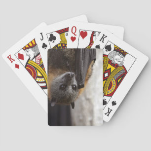 Australian Bat Playing Cards