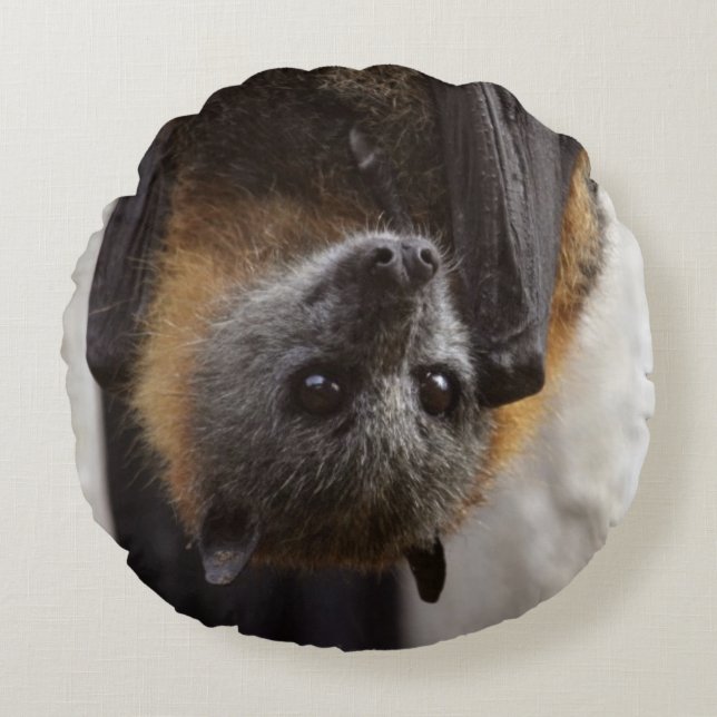 Australian Bat Round Pillow (Front)
