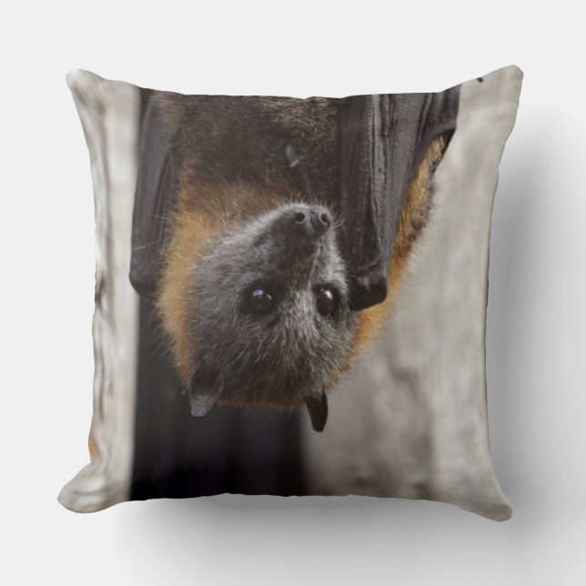 Australian Bat Throw Pillow (Front)