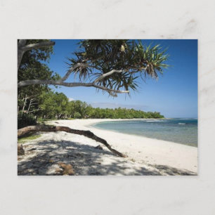Australian beach postcard