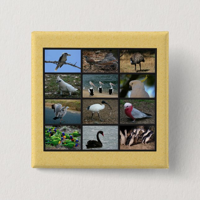Australian Birds 2 Inch Square Button (Front)