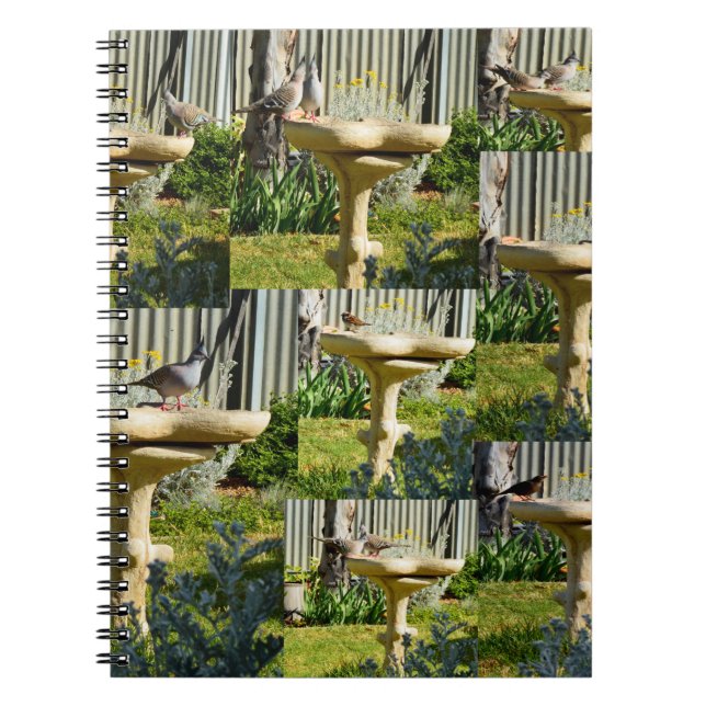 Australian Birds On Bird Bath, Notebook (Front)