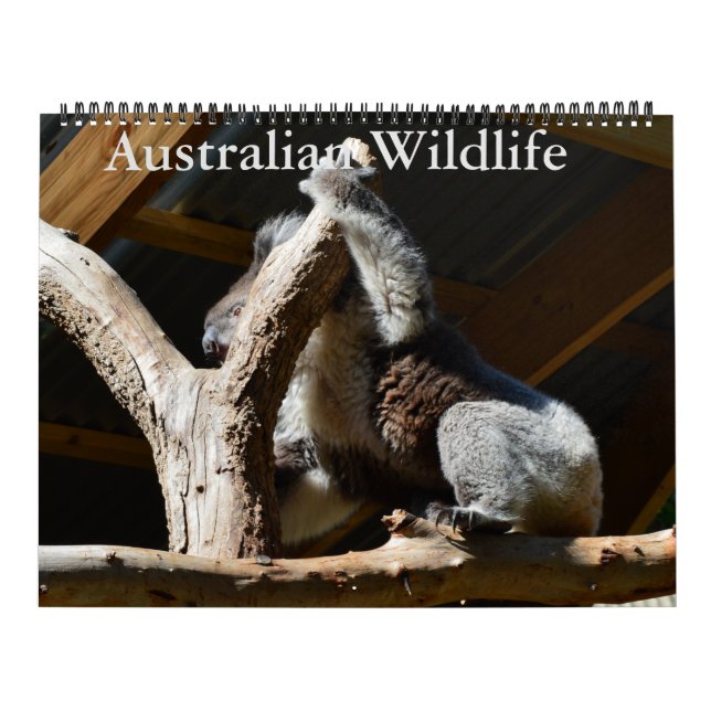 Australian Birds, Wildlife,  Calendar (Cover)