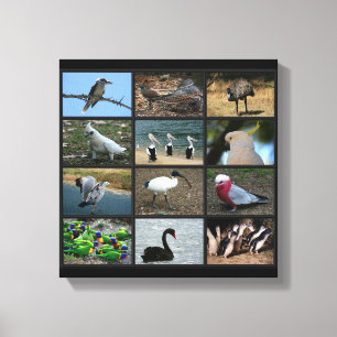 Australian Birdwatchers Collage Canvas Print