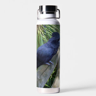 Australian Black Parrot, Water Bottle
