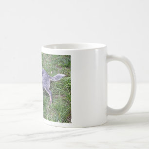 Australian_blue_cattle_dog_laying.png Coffee Mug