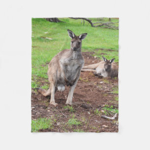 Australian Buck Kangaroo, Small Fleece Blanket.