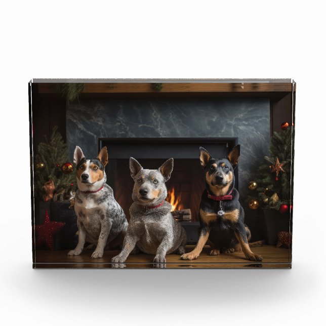 Australian Cattle by the Fireplace Christmas Photo Block (Front)