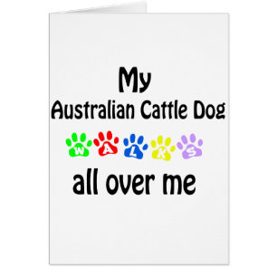Australian Cattle Dog