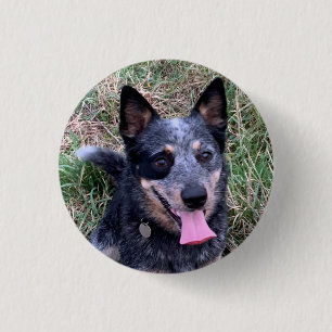 Australian Cattle Dog 1 Inch Round Button
