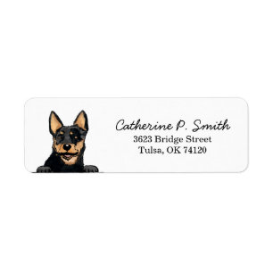 Australian Cattle Dog Adresse de retour