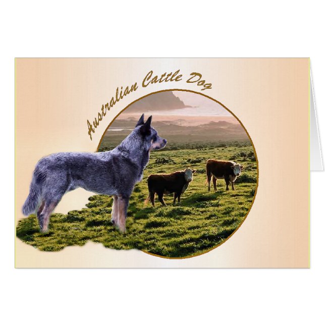 Australian Cattle Dog Art (Front Horizontal)